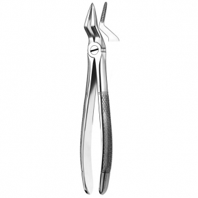 51A FORCEPS MARTIN RAICES SUP.