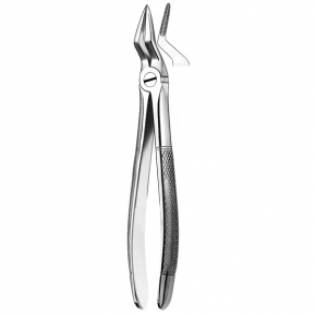 51A FORCEPS MARTIN RAICES SUP.