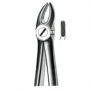 E7 FORCEPS MARTIN PREMOLARES SUP.