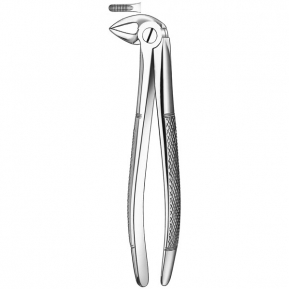 33 FORCEPS MARTIN RAICES INF.