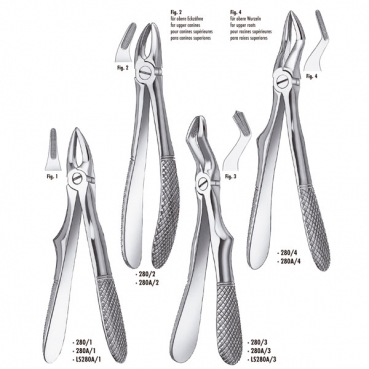 LS280A/3 FORCEPS INFANTIL MOLAR SUP.