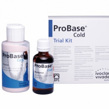 PROBASE COLD PORCION 100g PINK