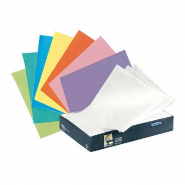 PAPEL ABSORBENTE BANDEJA TP250 EURONDA BLANCO
