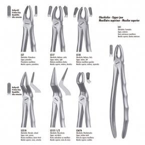 LS151 1/2 FORCEPS RAICES SUP. LIQUID STEEL